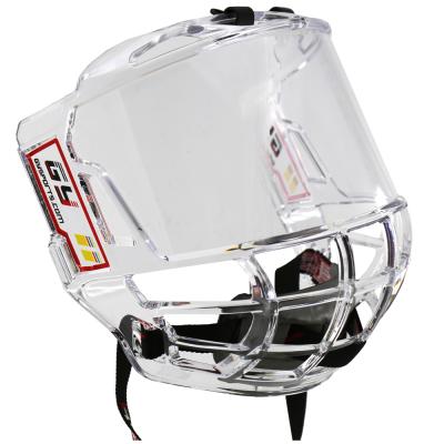 China Compounds Ice Hockey Equipment Manufacturer Full Face Mask Ice Hockey Visor for sale