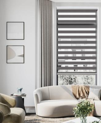 China Minimalist Classic Zebra Blinds Double Filter Roller Shades Window Curtain Light Two Layers Fabric Pattern TC67 Customize Size for sale