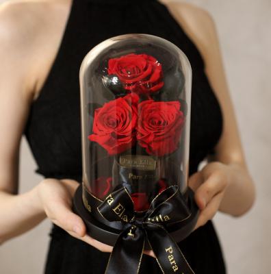 China Holiday decoration & Wholesale Preserved Rose Forever Stabilized Eternal Roses Gift in Glass Dome for Mothers Day Gifts for sale