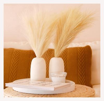 China Amazon Durable Best Selling Home Decoration Artificial Pampas Grass With Logo Customization Service for sale