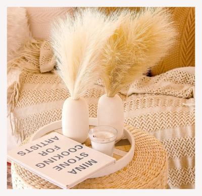 China 2022 Durable Popular Modern Home Decoration Fluffy Pampas Grass With Opp Bag Package for sale