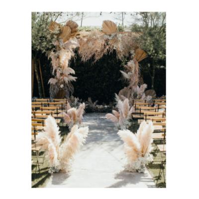 China Real Large Ceremony Pampas Grass Natural Original Color Wedding Decoration Durable Decorative Foliage for sale