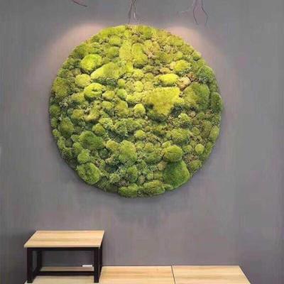 China Eco - Friendly Decoration Green Artificial Preserved Wall Moss Board for sale