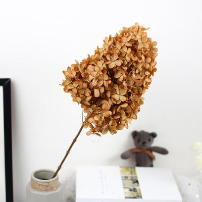 China Wedding Flower Arrangements Wedding Event Decoration , Home Decor Wholesale Dried Flower Long Stem Preserved Hydrangea for sale