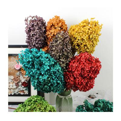 China Table Flower Decoration Yunnnan Factory Long Single Stem Decorative Preserved Hydrangea Flower Dry Wholesale Bouquet For Wedding Home Decor for sale