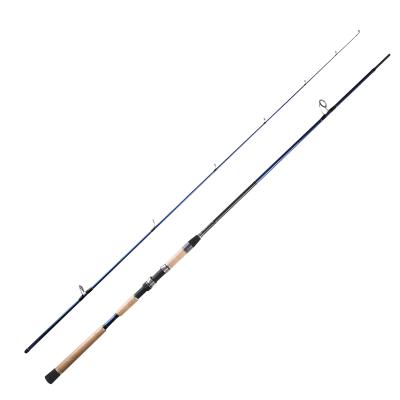 China TAIGEK 8ft High Carbon Fiber 2section Sea Bass Pike 9ft 2 Piece Spinning Rod Fishing Bass Rods for sale