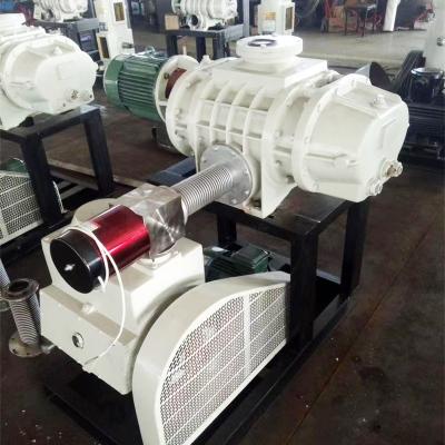 중국 Double Suction Technology Roots Vacuum Pump Aluminum Alloy 판매용