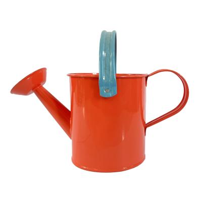 China Garden Tools Metal 1L Mini Farmhouse Customizable Style Planting Watering Can Pot for sale