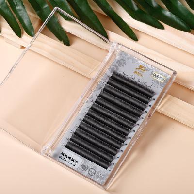 China Premium Natural Matte Mink Easy Fan Lashes Long Black Matte Black Eyelash Extensions Dark Fan Eyelash Extensions for sale