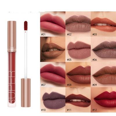 China Wholesale 12 Colors Lip Gloss Waterproof Private Label Lipstick Matte Magic Lip Gloss Waterproof Liquid Lip Gloss for sale