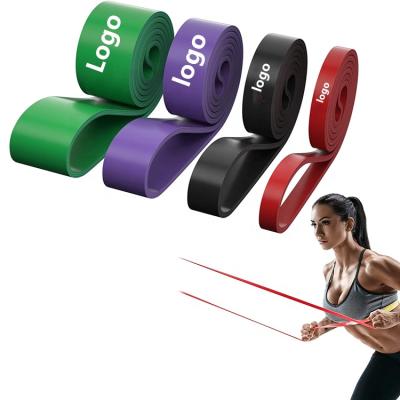 China Strength Training Wellshow Sport Pull Up Aid Multi-Use Loop Power Workout Bands Exercise Bands For Body Stretching Powerlifting for sale