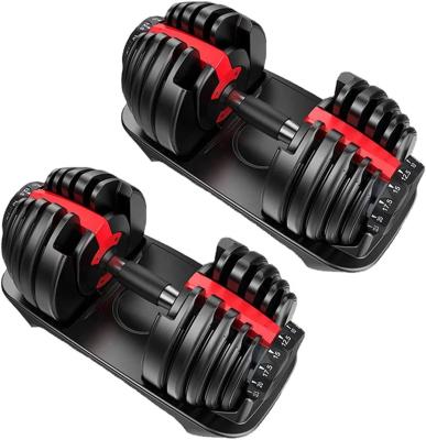 China Wellshow Adjustable Sport 24kg 40kg Adjustable Dumbbell Sets Multifunctional Free Weights Power Exercise Equipment for sale