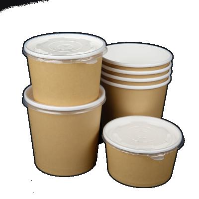 China Newcomers Biodegradable Take Away Biodegradable Kraft Paper Salad Bowl Food Packaging Containers Double Color for sale