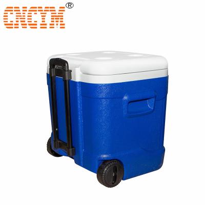 China Plastic blow molding fishing cooler box&hard cooler box for sale