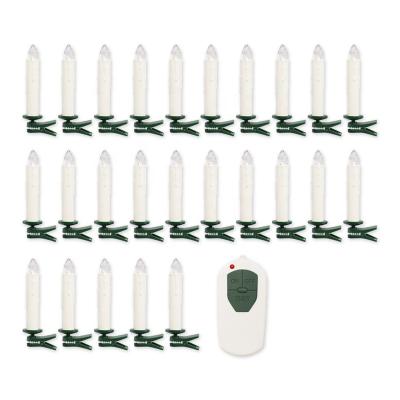 China Various 25 PCS Factory Made White Flameless Home Decoration Led Christmas Tree Light With Remote Control With Clip for sale