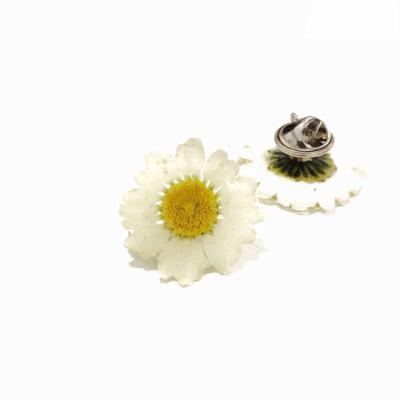 China Resin Daisy Real Dried Wedding Hot Sale Wild Lapel Pin Woman Flower Brooch for sale