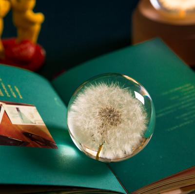 China 3D Dandelion Paperweight 7cm 8cm 9cm Resin Fashion Real Globe Natural Plant Custom Flower for Crystal Glass Home Decor Christmas Gifts for sale