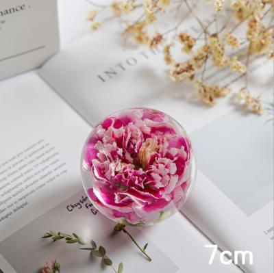 China Fashion Plants Natural Specimen Dandeliondaisy Carnation Flowers Globe Valentine Love Gift Home Decor for sale