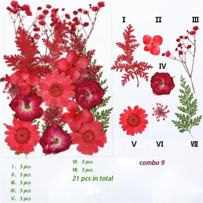 China Real dry flowers spring red hydrangea baby daisy summer flowers rosa breath green fern framing decorative dry flower arrangement for sale