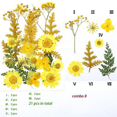 China Real Dried Flowers Yellow Baby's Breath Queen Anne Lace Hydrangea Daisy Dry Pressed Flower For DIY Resin Jewelry Card Holder Candle Making for sale