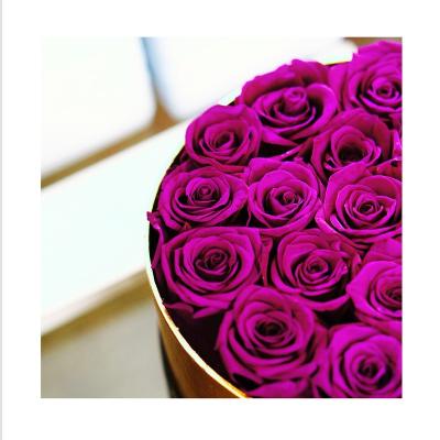 China RIB-0003 Natural Touch Forever Preserved Rose In A Box Luxury Preserved Roses In Box for sale