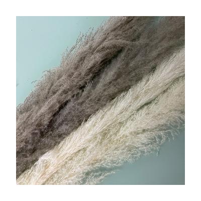 China Natural Touch RP-0023 The King Of Quantity Dried Pampas Reed Pampas Grass Flowers Reed for sale