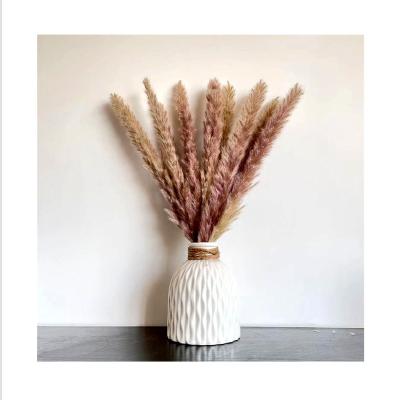 China SP-0002 Excellent Quality Flower Color Touch Pampas Grass Decor Small Dry Pampas Grass Natural Original Small Pampas Grass Phragmites Dried for sale