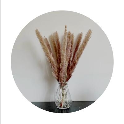 China SP-0004 Natural Contact Wholesale Price Original Color Dried Small Pampas Small Pampas Bunch for sale