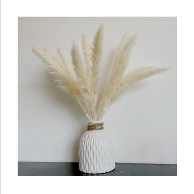 China SP-0006 Natural Small Touch Pampas Grass Colored Dry Preserved Small Decorative Flower Pampas Grass Use For Events Decoration for sale