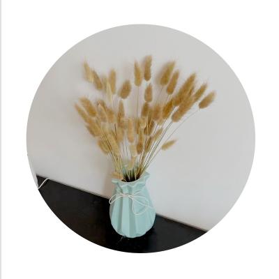 China BT-0004 Touch Original Color Dried Bunny Tail Grass High Grade Natural Stable Quality Dried Flower Bunny Tail For Home for sale