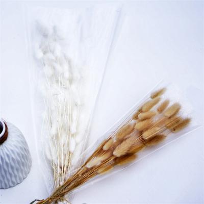 China BT-0005 Wide Touch Natural Varieties Bunny Tail Flowers Bunny Tail Colorful Grass Decoration for sale