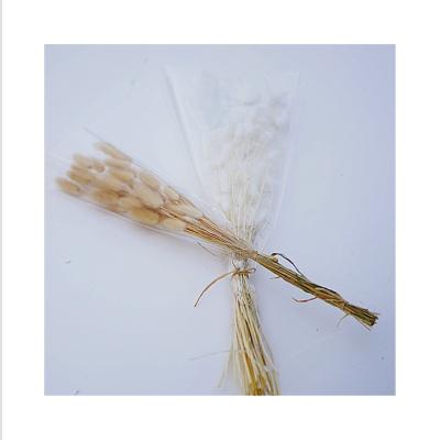 China Factory Supply Natural Touch BT-0007 Pampass Colorful Grass Bunny Tail Dried Flower Dried Bunny Tails for sale