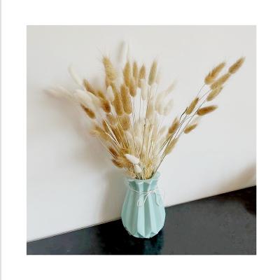 China BT-0008 Natural Touch Finely Processed Bunny Tails Dried Flowers Grass Colored Bunny Rabbit Tails For Decoration for sale