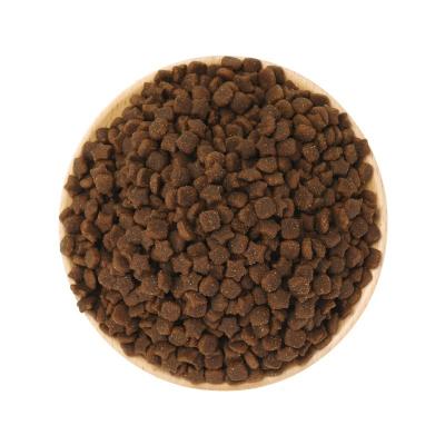 China OEM ODM Healthy Dog Food Factory Exports Natural Raw 10KG Chicken Seasons Star Square Shapes All Age Dry Dog Food for sale