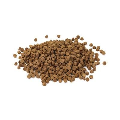 China Main Food Wholesale Delicious Stomach Protect Dog Food Products 2023 Pet Food OEM Best Selling Dry Food for sale