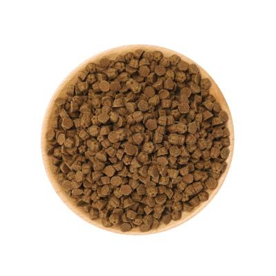 China Healthy Main Food Pet Food Low Temperature Baked Dry Dog Food Factory For Sale for sale