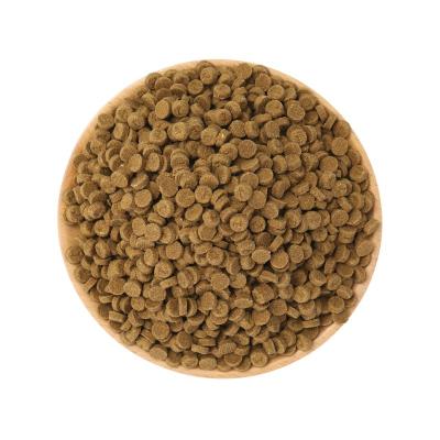 China High Quality Cats Nutrition High Quality Hot Baked Cat Food for sale