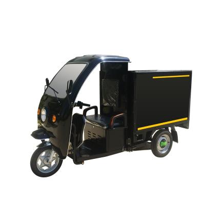 China Popular electric cargo tricycle for large size adult electric cargo tricycle for sale