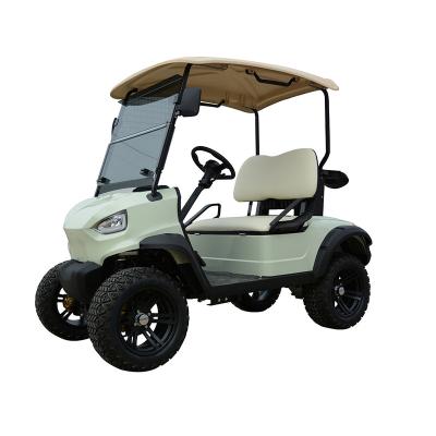 China Steel/Electric/Plastic CE Approved 2 Seat Electric Golf Cart Electric Golf Buggy Cart Price for sale