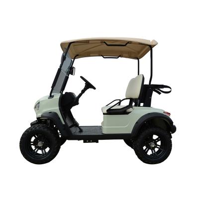 China Steel/Electric/Plastic hot selling 2 seater small golf buggy mini golf cart 2 passenger electric mini golf car service price for sale