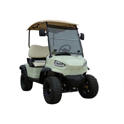 China steel golf cart electric 2 seater golf cart passenger electric cart price/hot sale electric/plastic 2 golf carts for sale