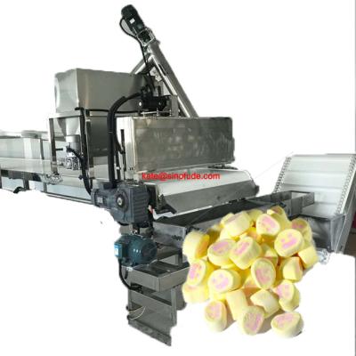 China food & Fully Automatic Jam Marshmallow Candy Filling Extruder Line and Beverage Plant Plant Depositing Line for sale