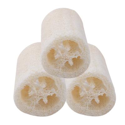 China Viable Plastic Free Loofah Sponge Loofah Dish Kitchen Sponge Zero Waste Loofah Body Dish Scrubber for sale