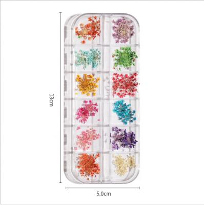 China Nail Art Decoration New 3D Nail Art Designs Dried Flowers Nail Dry Stickers for sale