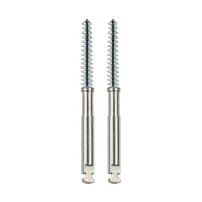 China Professionally Designed Metal For Tooth Green Cleaning Hard Root Canal Cleaning Brush for sale