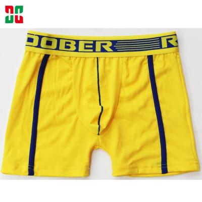 China Antibacterial South American Cheap Solid Color Children Clothing Child Underwear Boxer Boy Briefs for sale