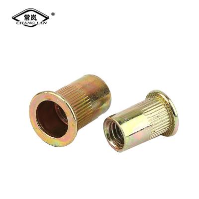 China High quality heavy industry flat head open end rivet nut small flat blind piece for sale