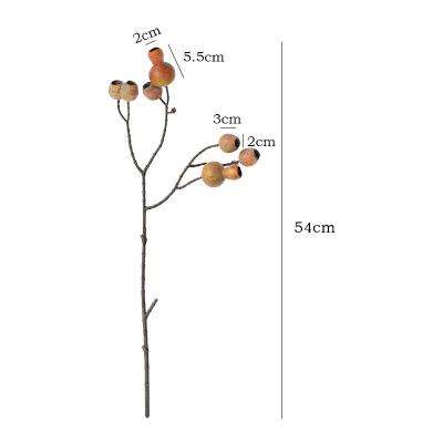 China Natural Real Popular high quality Manwen pipe fruit, long stemmed berries, acacia beans, wedding Christmas home art decoration for sale