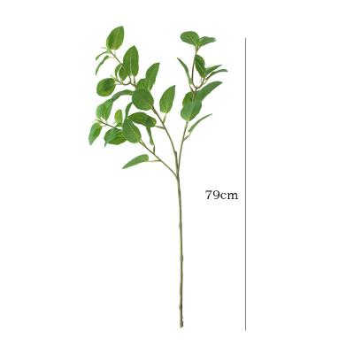 China Natural Real Wholesale home artificial leaves simulation green plant artificial  tree decoration large branch mint leaves for sale