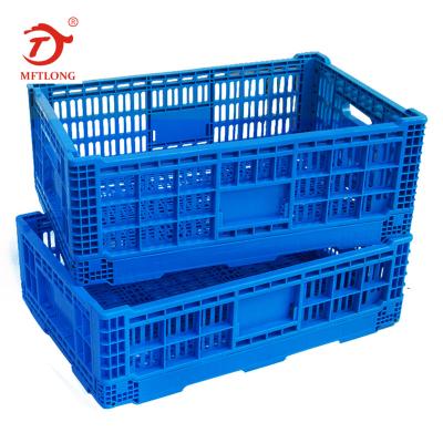 China MFTLONG Plastic Mesh Crate Collapsible Collapsible Mobile Crates For Fruit Vegetables for sale